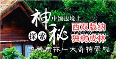 鸡巴扦B免费影视