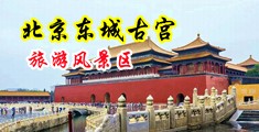 老屌肏在线视中国北京-东城古宫旅游风景区