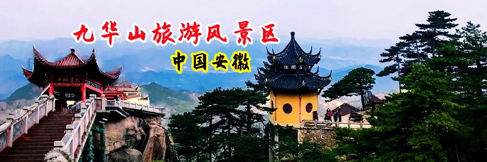 操屁视频网站
