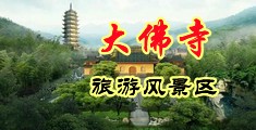 艹逼逼，爽，啊啊啊，91中国浙江-新昌大佛寺旅游风景区