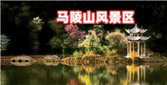美女艹网站